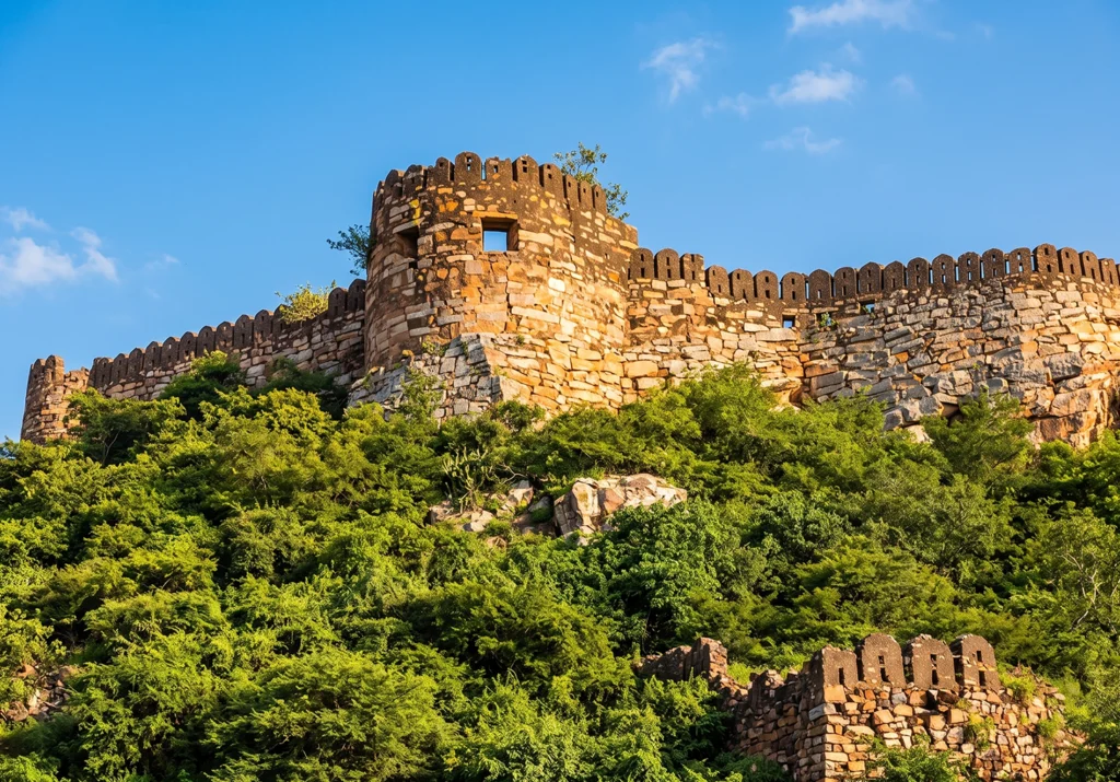 Hotel Near Udayagiri Fort | Highness Park