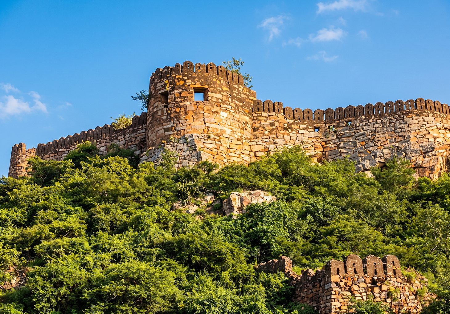 Hotel Near Udayagiri Fort | Highness Park